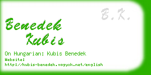 benedek kubis business card